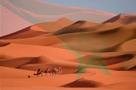 من هم المستفيدون من نزاع الصحراء المغربية ؟