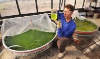 جامعة ألميريا تستضيف تنظيم الندوة العلمية الأولى حول الطحالب المجهرية بتعاون مع المغرب