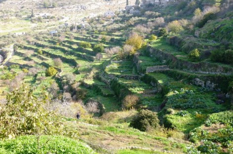 تجربة فريدة من نوعها هي بتير، بلدة تقع جنوب غرب القدس.    نظام ريها يسمى “حضارة”، يحكي قصة من الجمال الصافي. بل وأيضا أشياء أخرى …