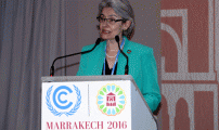 اليونسكو تشيد بريادة المغرب في الجهود المبذولة من أجل المناخ