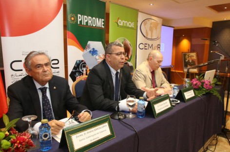لقاء في ألميريا يوصي بتعزيز مشاركة المهاجرين المغاربة في الحياة السياسية الإسبانية.