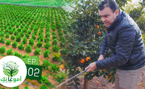 الحلقة الثانية من ” أمو غا نك” عن الفلاحة البيئية والتجربة الرائدة للمغرب.