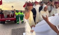 ذبح أضحية العيد تطيح بواليين 