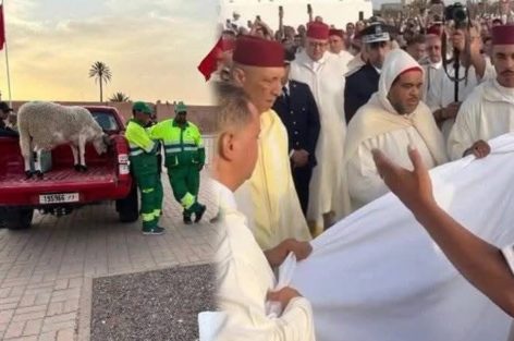 ذبح أضحية العيد تطيح بواليين 